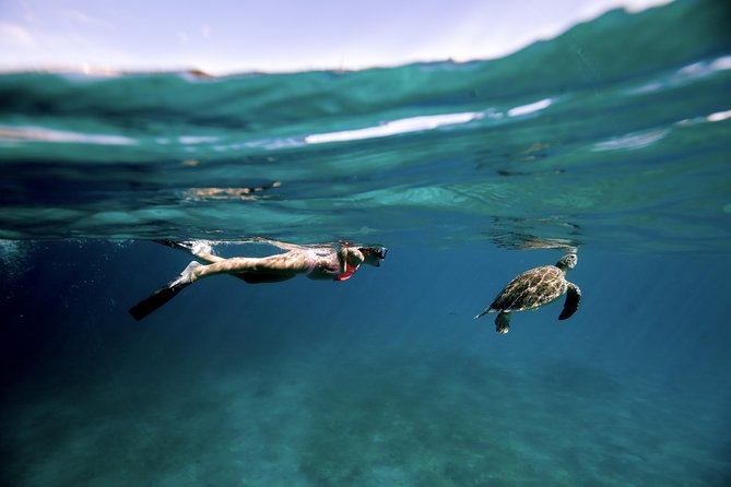 Full Day - Turtle Cove Snorkel & Water Island Beach Excursion - Meeting and Pickup Details