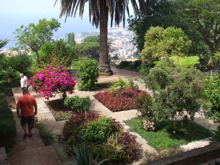 Funchal: Botanical Garden in a Tuk-Tuk Tour - Key Points