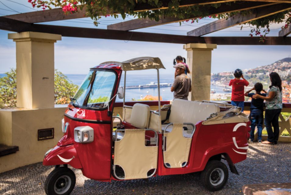 Funchal Viewpoints: 90-Minute Guided Tuk Tuk Tour - Tour Overview