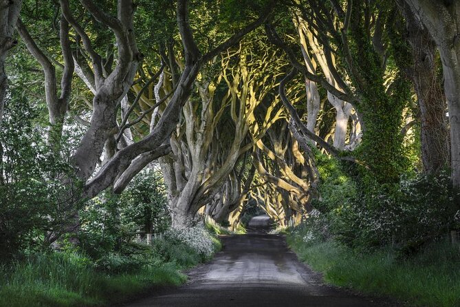 Game of Thrones - Private Audi A6 Tour With Richard the Wildling - Key Points