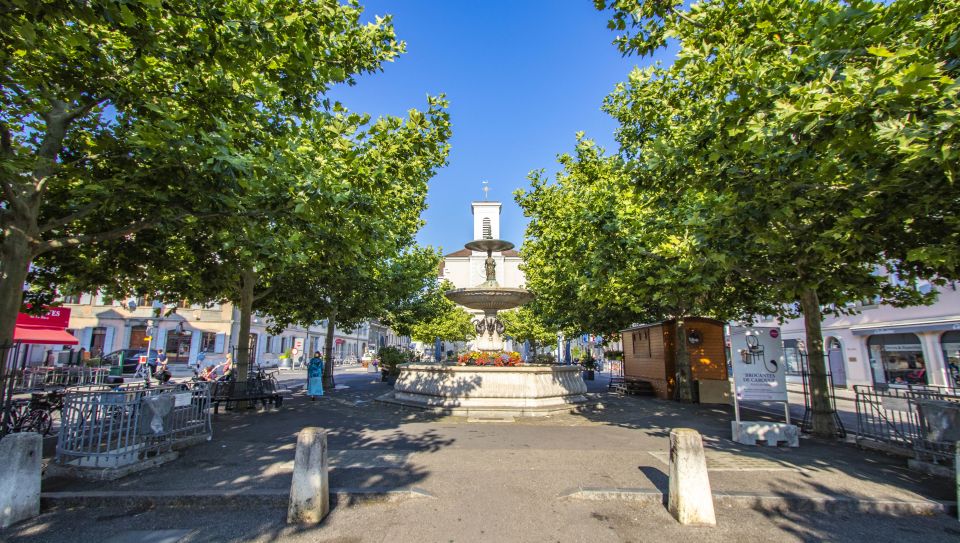 Geneva: Carouge Tour With a Local - Key Points