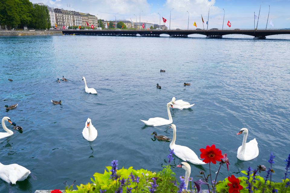 Geneva Highlights Self-Guided Scavenger Hunt and Tour - Key Points