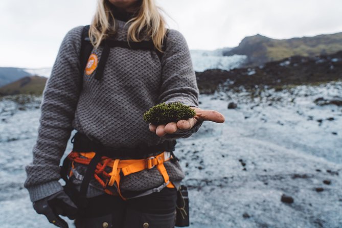 Glacier Encounter in Iceland - Key Points