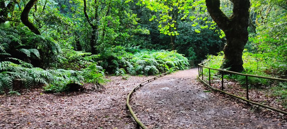 Green Cauldron Levada: Roundtrip Transfer & Hike - Key Points