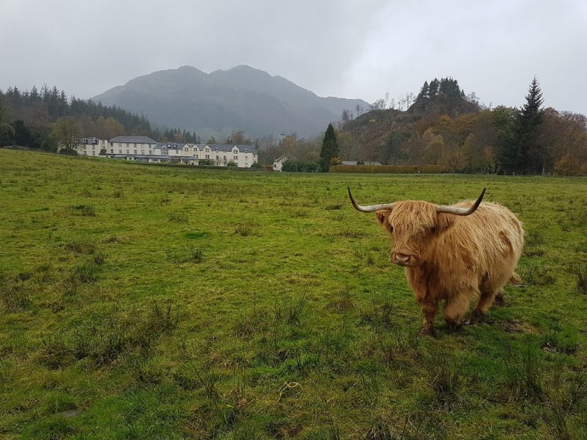 Greenock: Shore Excursion to Stirling Castle and Loch Lomond - Key Points