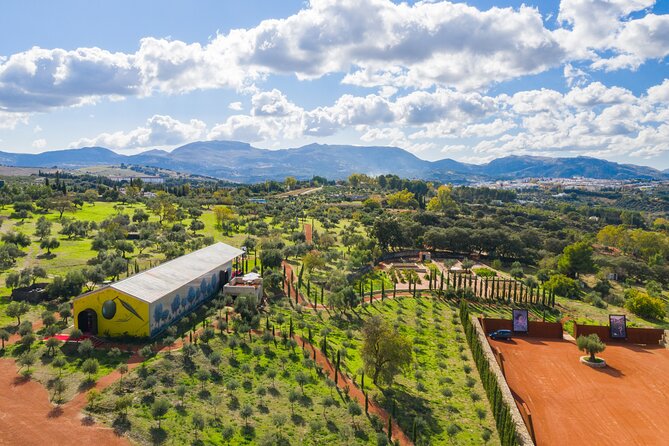 Guided Tour and Olive Oil Tasting in Ronda - Key Points