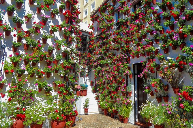 Guided Tour to the Popular Patios of Cordoba - Key Points