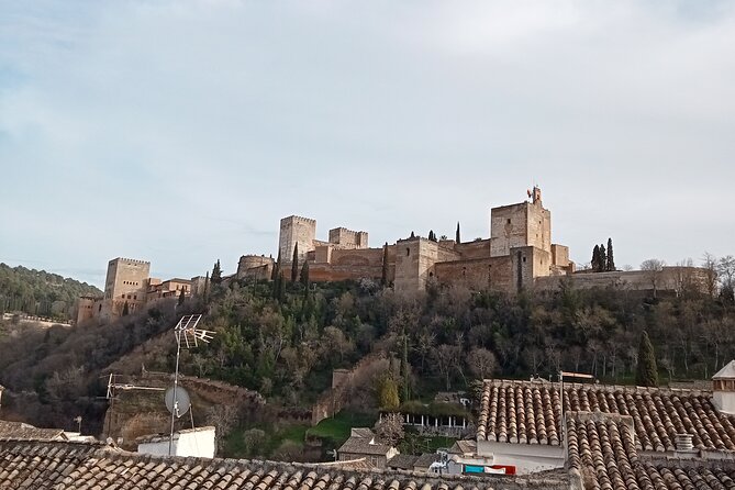 Guided Walking Tour With Panoramic Views and Terraces of Granada - Tour Overview