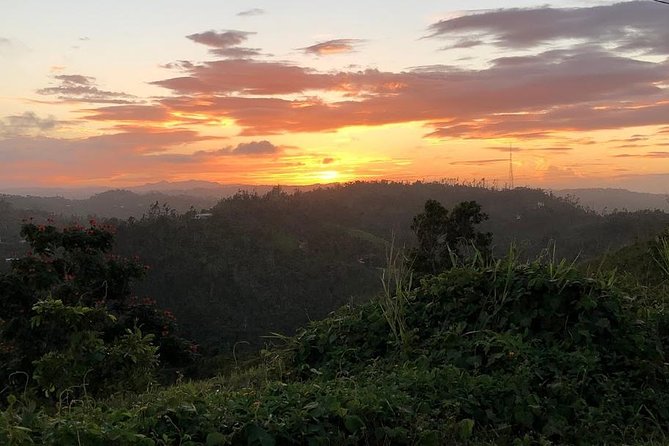 Half-Day Center of Puerto Rico Cultural Tour - Key Points