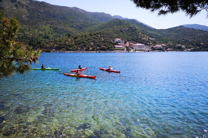 Half Day Guided Zaton Bay Kayak, Swim, and Snorkel Tour in Dubrovnik - Key Points