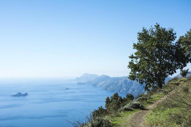 Half-Day Private Amalfi Coast Path of the Gods Hike With Lunch - Key Points