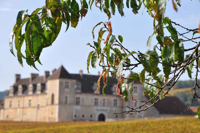 Half Day Tour of the Cote De Nuits Vineyards From Dijon - Key Points