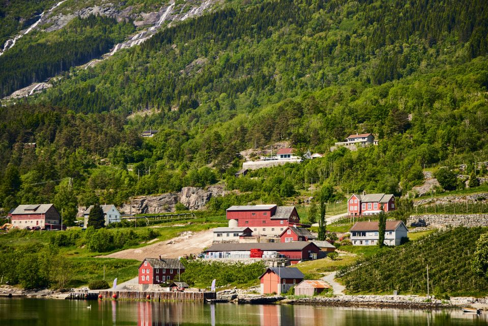 Hardangerfjord Sightseeing Cruise - Key Points