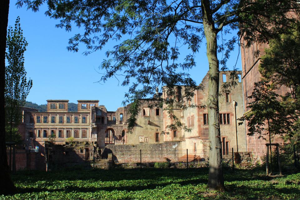 Heidelberg: First Discovery Walk and Reading Walking Tour - Key Points