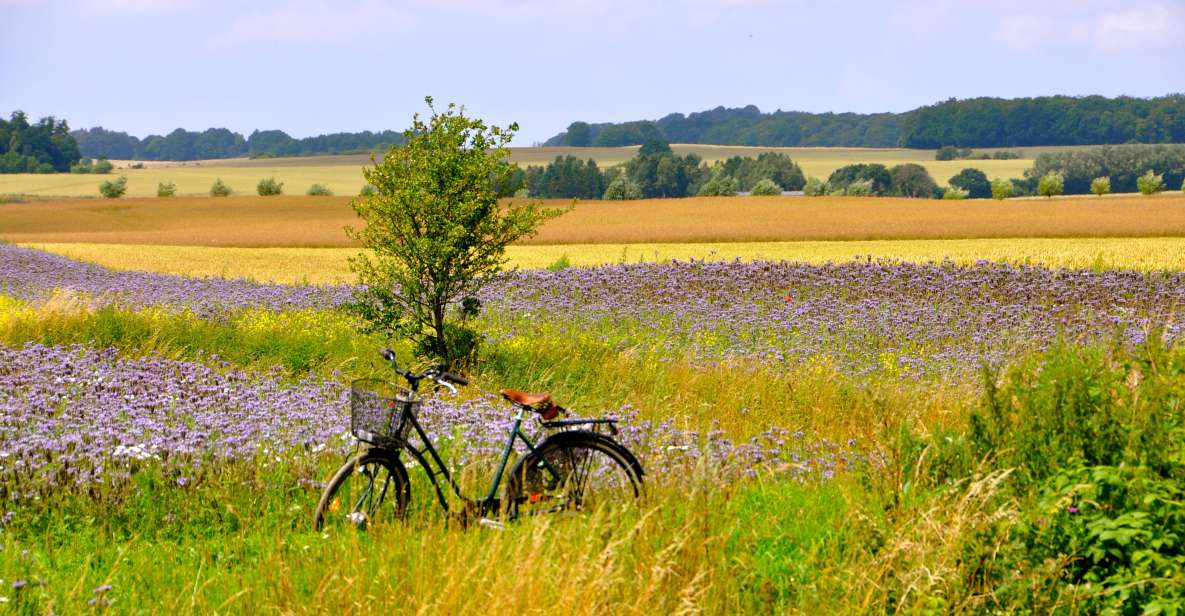 Hello There: Cycling or Hiking With Wine Tasting - Key Points