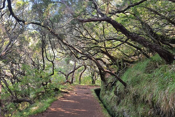 Hike 25 Fountains & Levada Risk Self-Guided - Exploring 25 Fontes Trail