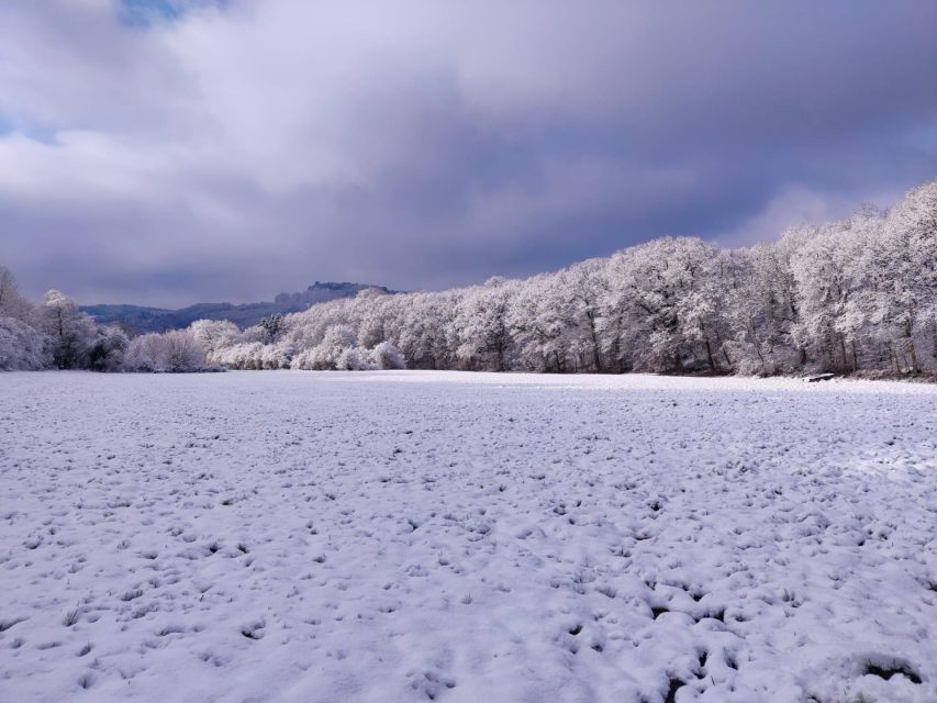 Hikes With a Picnic Backpack in the Ardennes - Key Points