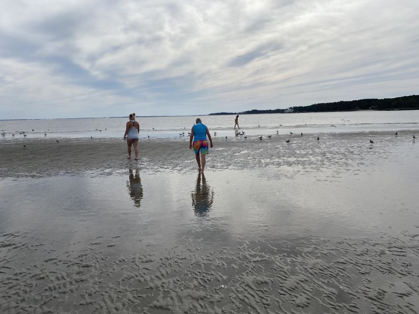 Hilton Head: Guided Disappearing Island Tour by Mini Boat - Key Points