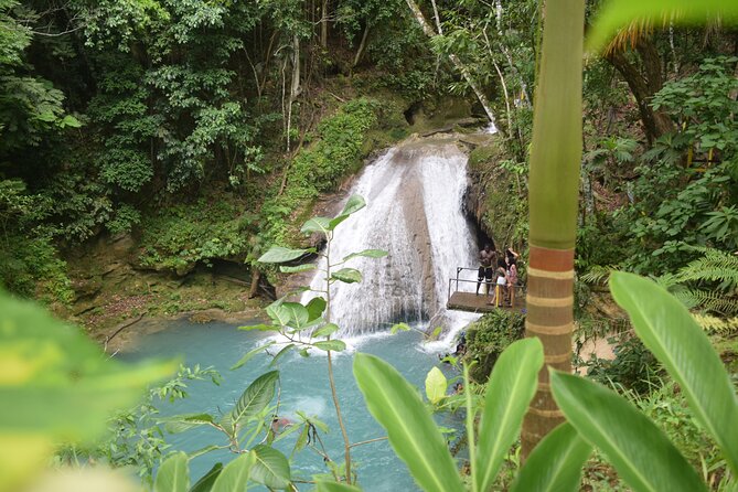 Horse Back Riding and Blue Hole From Montego Bay - Overview and Experience