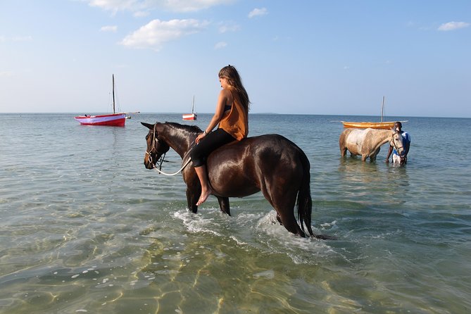 Horse Ride Ocean Walk In Vilankulos, Mozambique Key Points