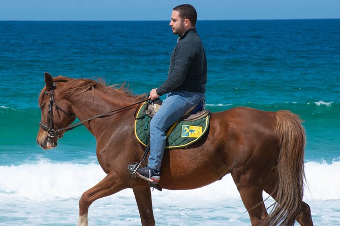 Horse Riding on Melides Beach - Key Points