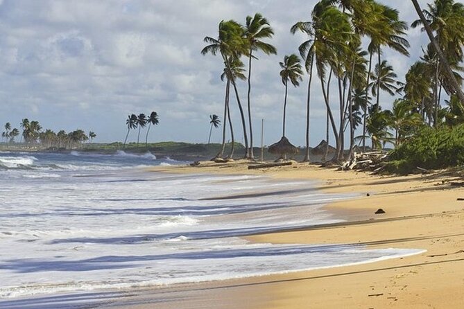 Horseback Riding at Macao Beach - Tour Overview