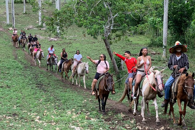 Horseback Riding With Pickup From Punta Cana - Key Points