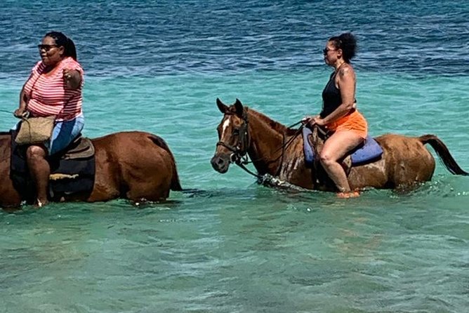 Hour Horseback Riding Guided Tour From Runaway Bay - Tour Overview