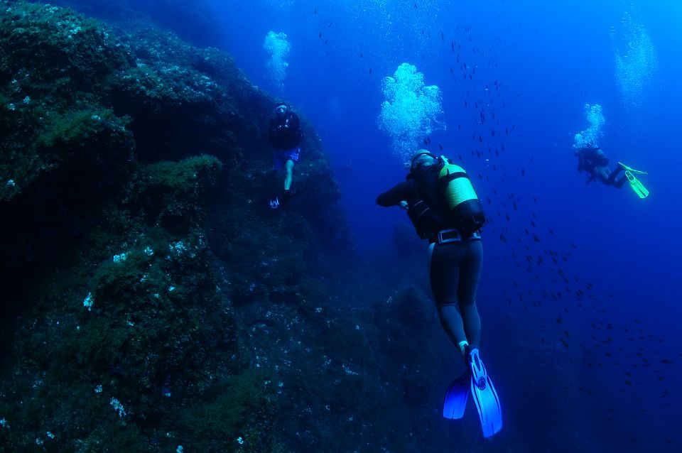 Ibiza: 3.5-Day PADI Open Water Dive Course - Key Points