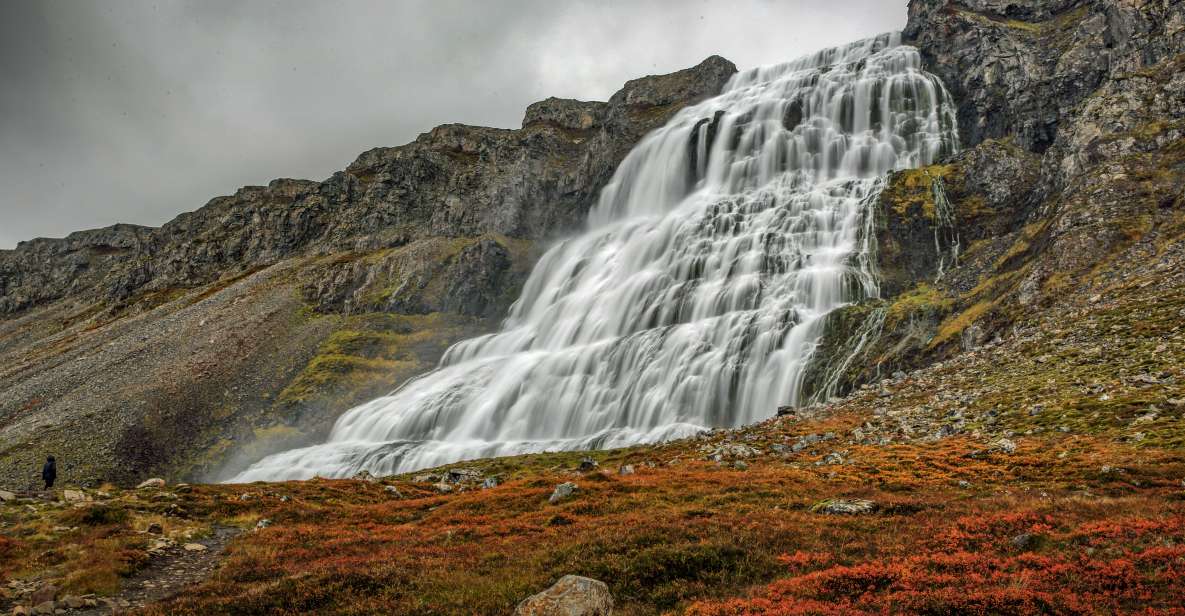 Isafjordur: Dynjandi Waterfall Tour and Icelandic Farm Visit - Key Points