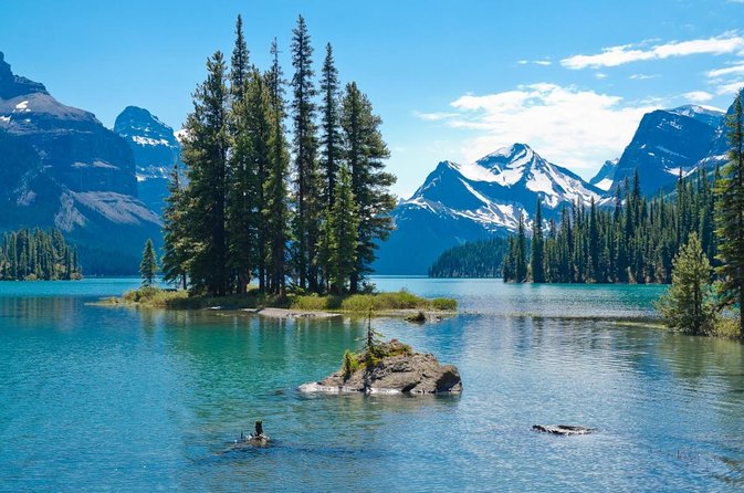 Jasper Wildlife and Waterfalls Tour With Maligne Lake Hike - Key Points