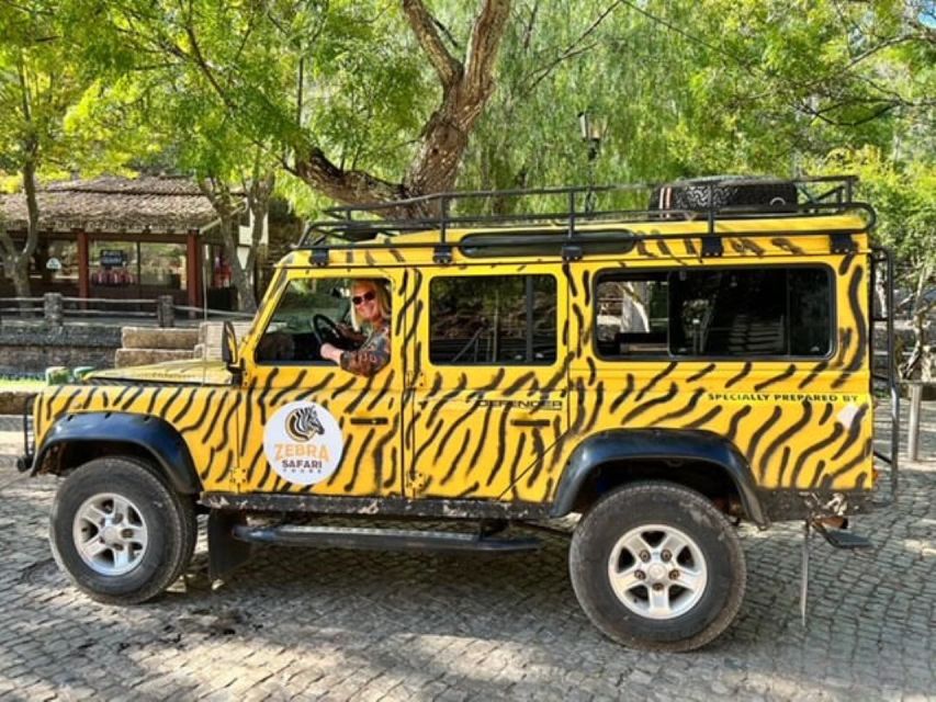 Jeep Safari Tours- Half Day - Key Points