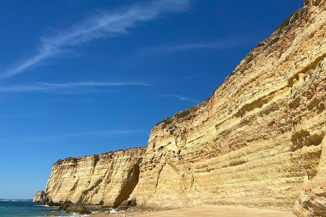 Kayak Tours With Amazing Caves, Sea Life and Marine Biologist . | Mike ...