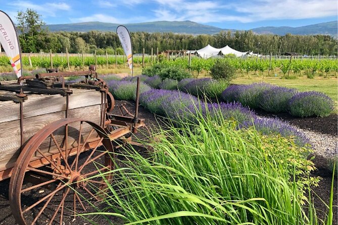 Kelowna Wine Tour on an E-Bike With Lunch - Key Points