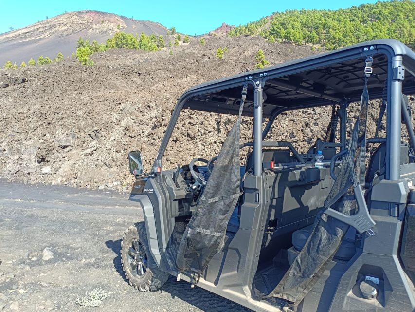 La Palma: Volcano Route Buggy Tour - Key Points