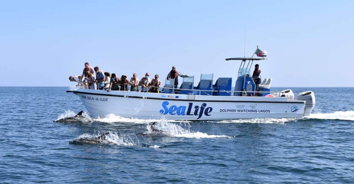 Lagos: Dolphin Watching Boat Tour With Marine Biologists - Key Points