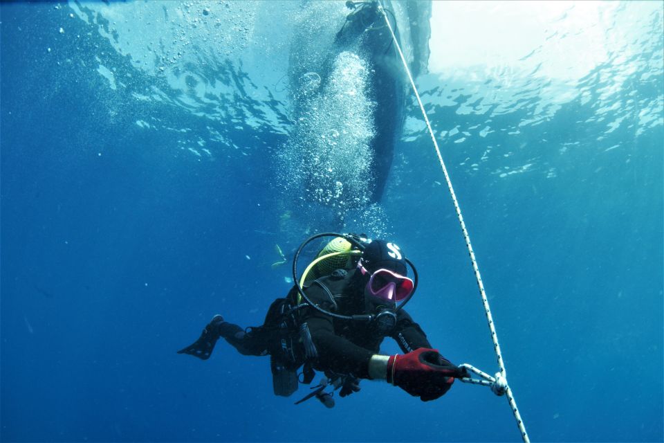 Las Palmas: 2-Day Padi Scuba Diving Course - Key Points