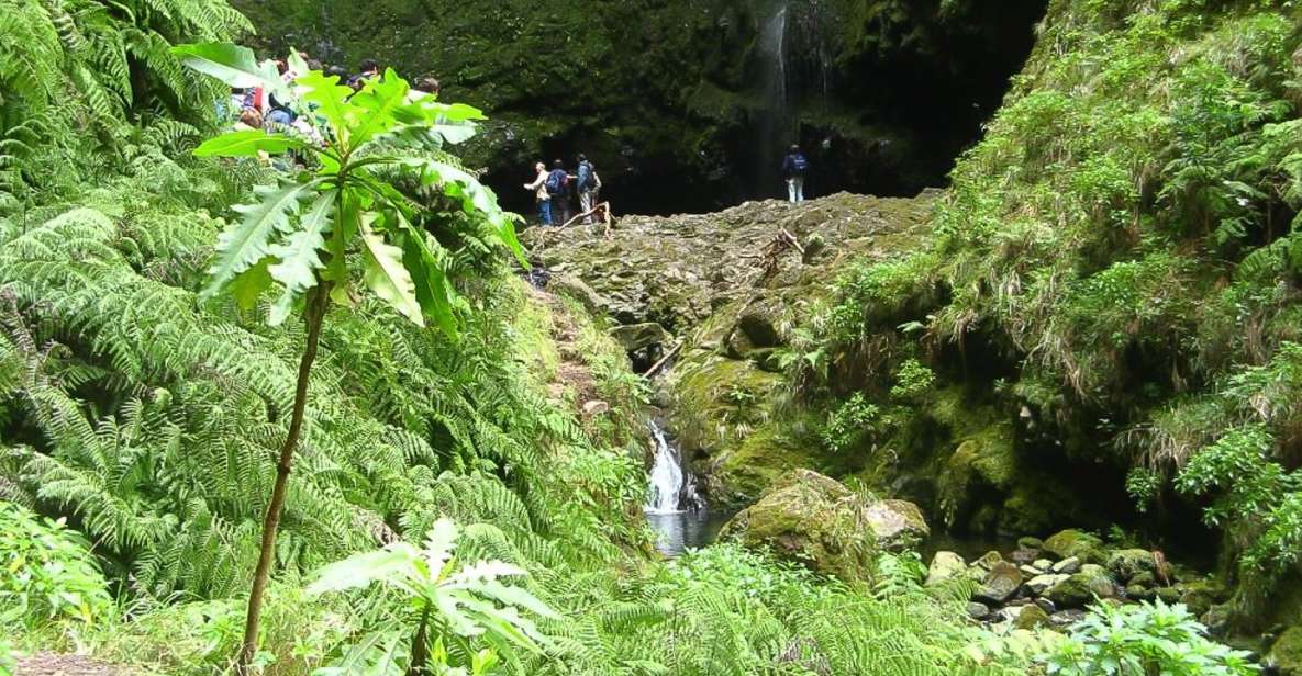 Levada Walk and Caldeirao Verde Waterfalls: Madeira - Key Points