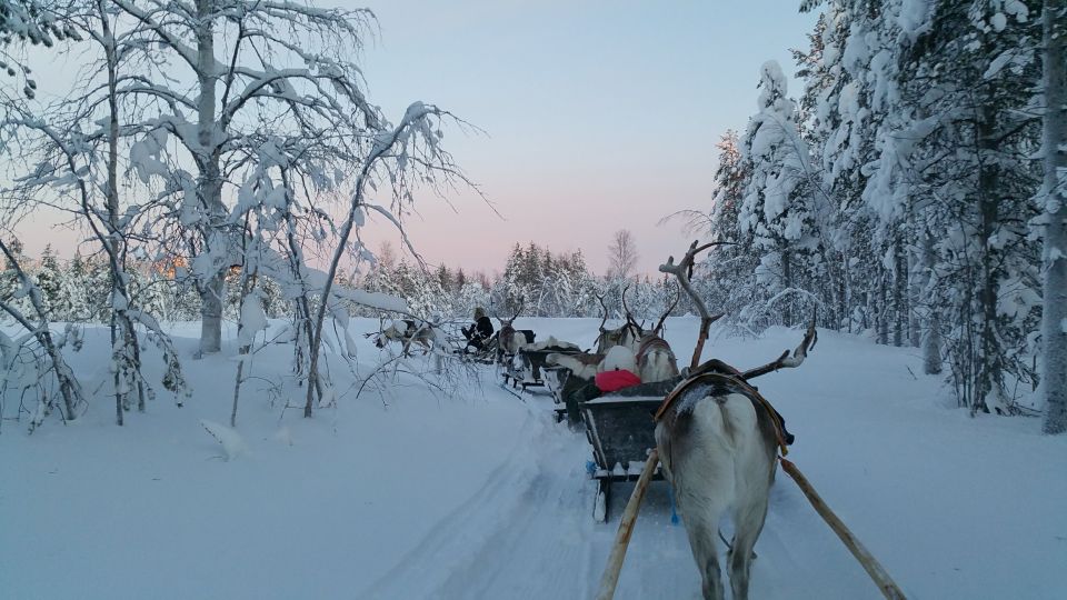 Levi: 3km Reindeer Sleigh Ride - Key Points