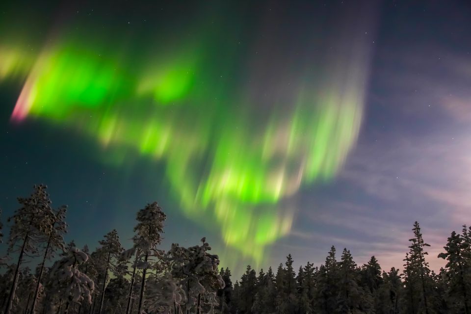 Levi: Northern Lights Hunting Photo Tour - Key Points