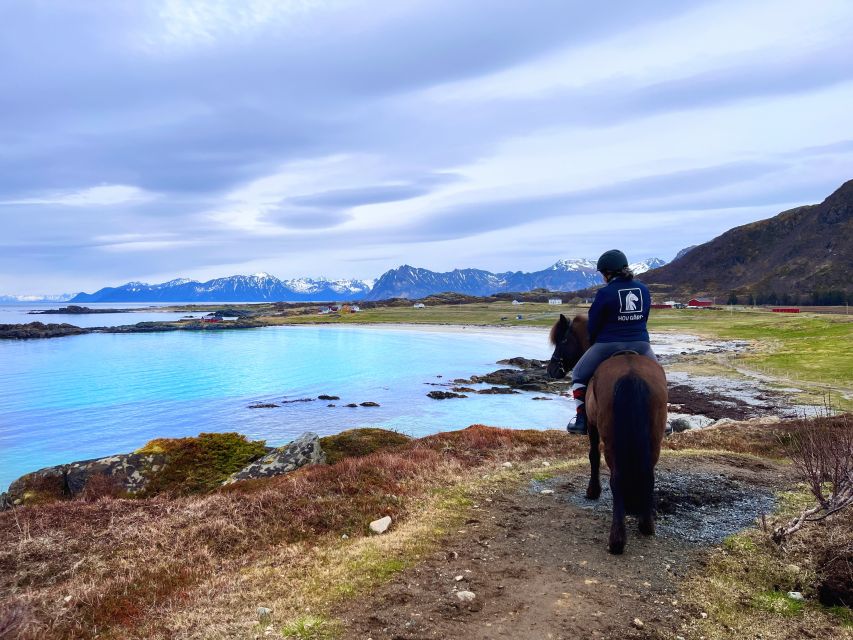 Lofoten: Guided Horse Riding Tour Over Hov and Hovsund - Key Points