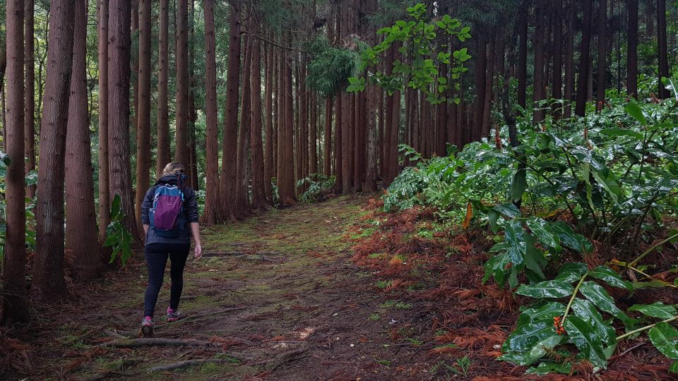 Lomba De São Pedro: Waterfall Hiking Tour With Tea Tasting - Key Points