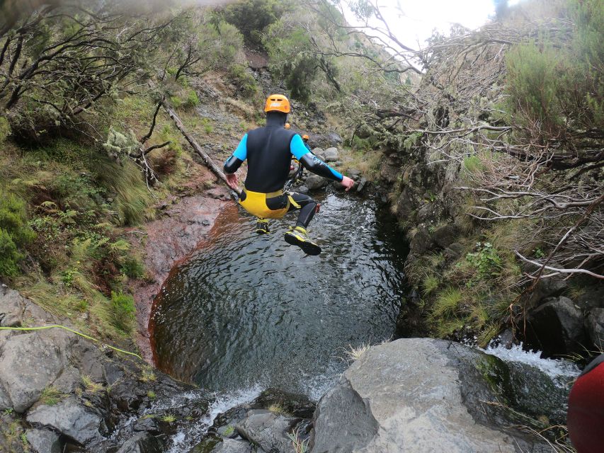 Madeira: 3-Hour Level-1 Canyoning Experience - Key Points