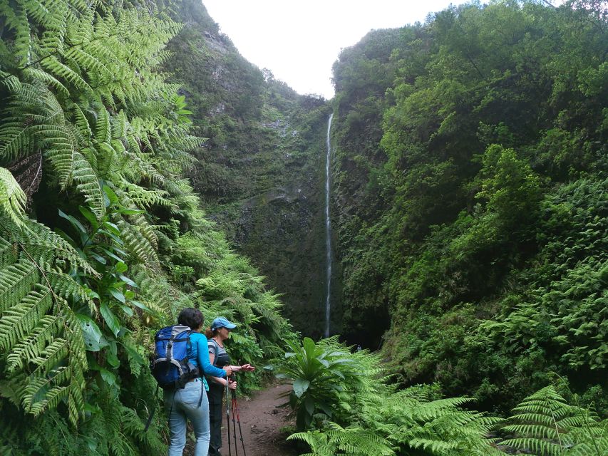 Madeira Island: Green Cauldron Levada Walk - Key Points