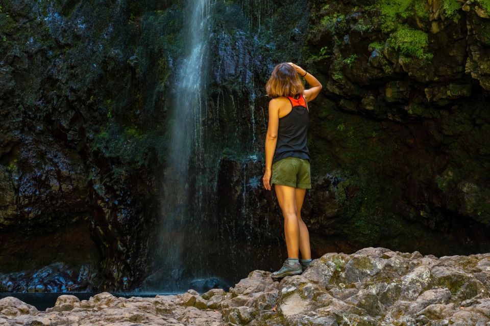 Madeira: Jungle Fever Levada Caldeirao Verde Hike Santana - Key Points