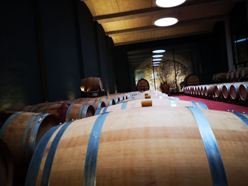 Mallorca: Full-Day Winery Small Group Tour - Key Points