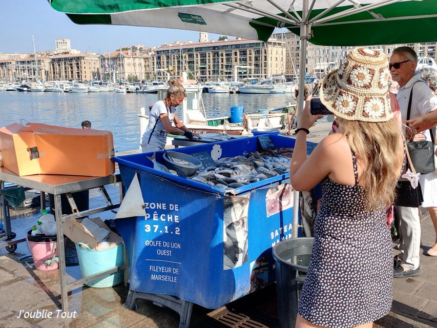 Marseille: Baptism of Diving on the Island of Frioul - Key Points