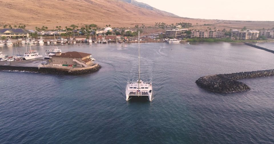 Maui: Alii Nui Whale Watch & Catamaran Sail - Key Points