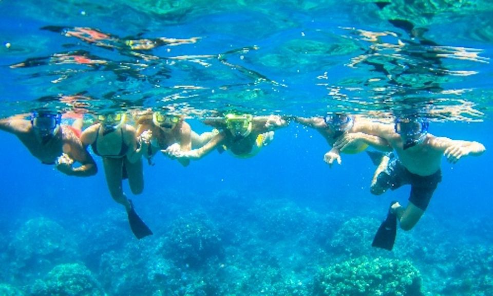 Maui: Cruise With Snorkeling and Barbecue Lunch - Key Points