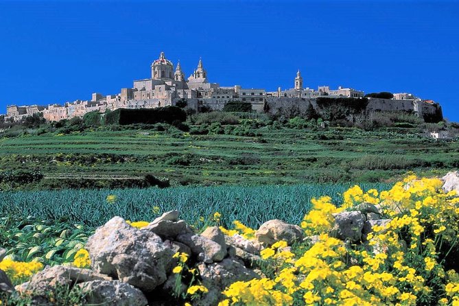 Mdina, Rabat, Dingli Cliffs, San Anton Gardens, Ta Qali & Mosta Guided Tour - Key Points